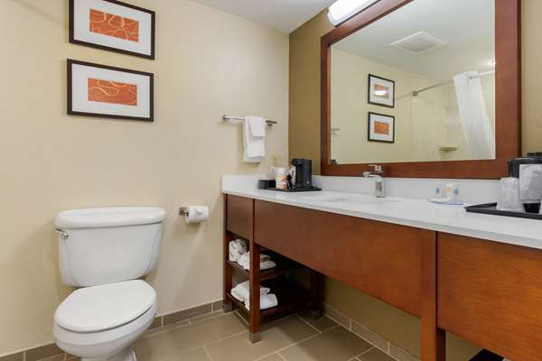  - Comfort Inn & Suites Cordele - I-75, Exit 99