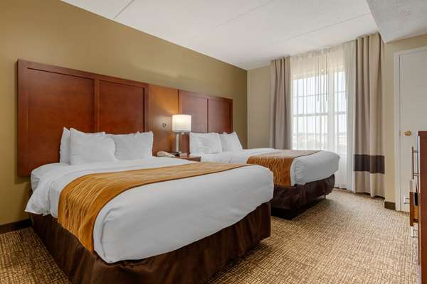 Suite - Comfort Inn & Suites Cordele - I-75, Exit 99