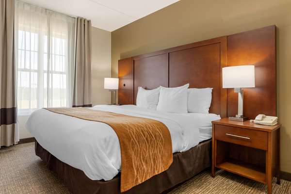 Suite - Comfort Inn & Suites Cordele - I-75, Exit 99