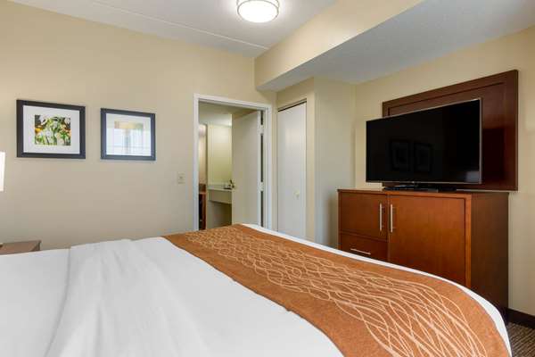Suite - Comfort Inn & Suites Cordele - I-75, Exit 99