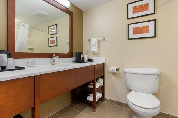 Suite - Comfort Inn & Suites Cordele - I-75, Exit 99