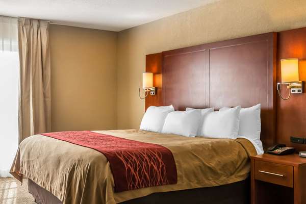 Suite - Comfort Inn Savannah
