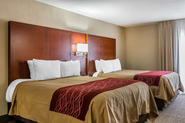 Suite - Comfort Inn Savannah