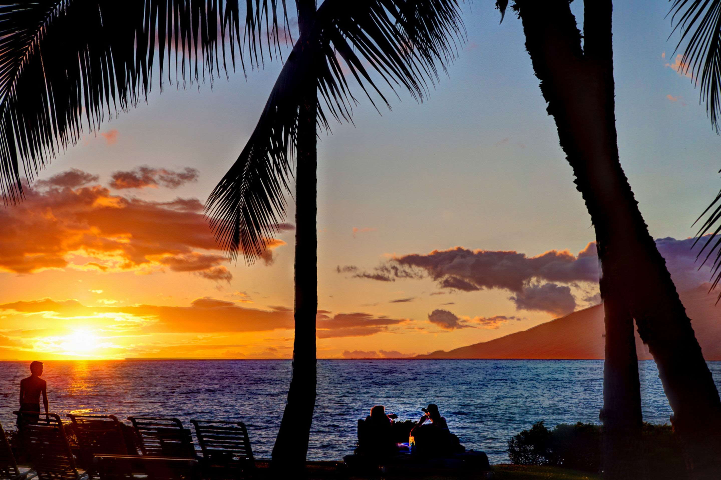 Sunset view
