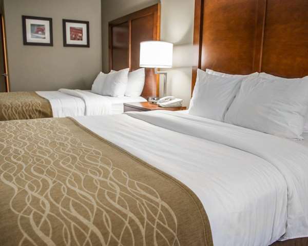 Suite - Comfort Inn Le Claire - I-80, Exit 306