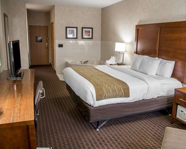 Suite - Comfort Inn Le Claire - I-80, Exit 306