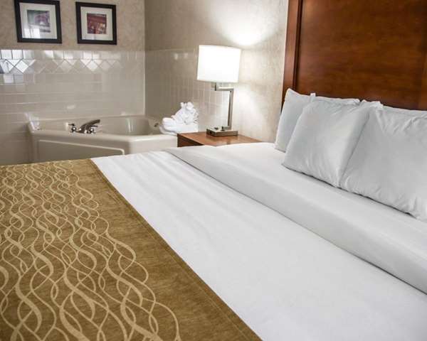Suite - Comfort Inn Le Claire - I-80, Exit 306