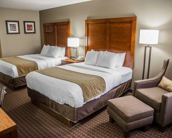 Suite - Comfort Inn Le Claire - I-80, Exit 306