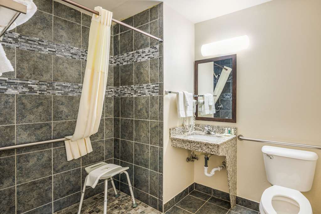 QUALITY INN AND SUITES ELDRIDGE DAV-guestroom-Guest Room,Bathroom,On-Site.jpg
