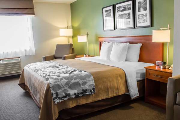 Suite - Sleep Inn & Suites Charles City