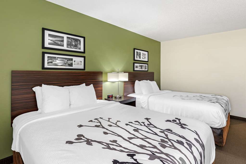 SLEEP INN AND SUITES-guestroom-Guest Room,Suite,On-Site.jpg