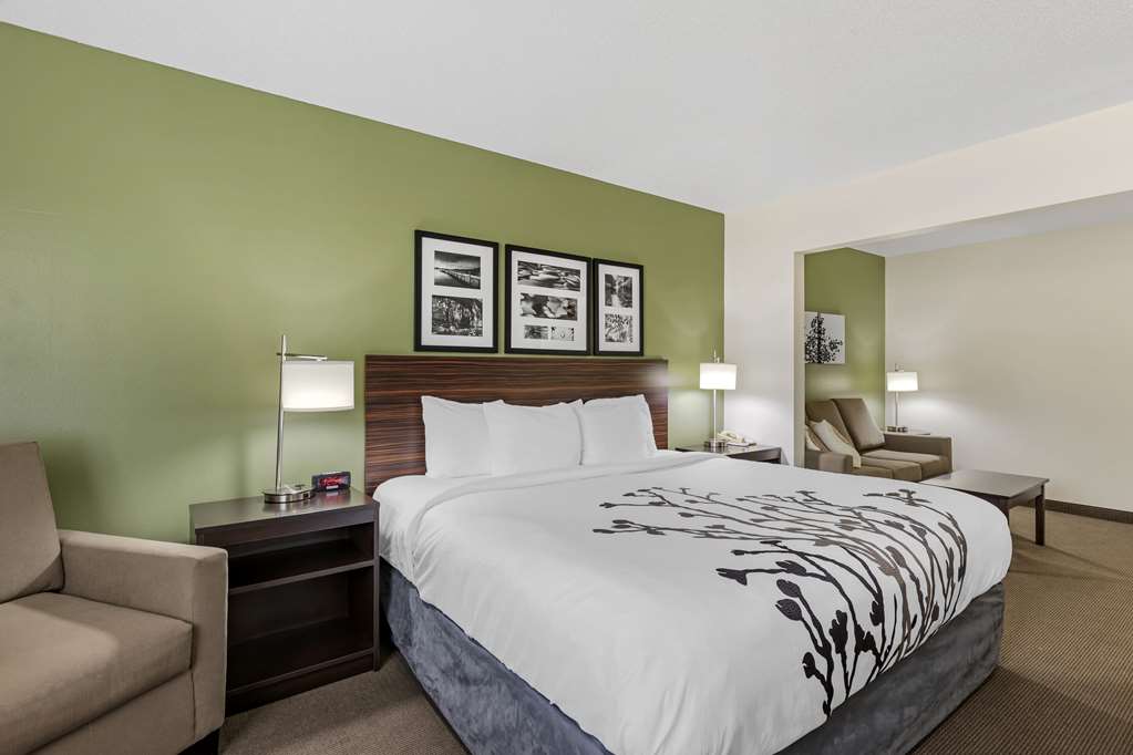 SLEEP INN AND SUITES-guestroom-Guest Room,On-Site.jpg
