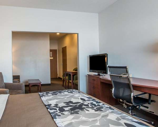 Suite - Sleep Inn & Suites Mt Vernon