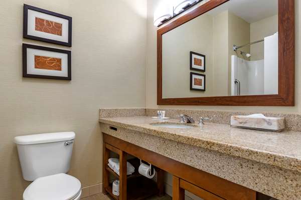 Suite - Comfort Suites Coralville