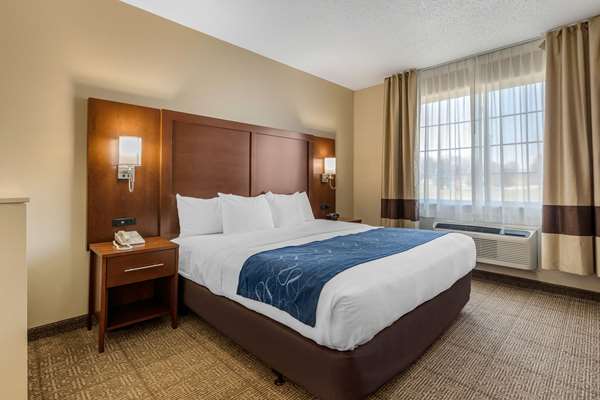 Suite - Comfort Suites Cedar Falls