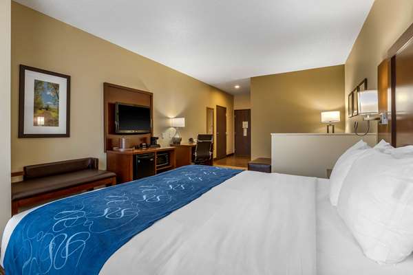 Suite - Comfort Suites Cedar Falls