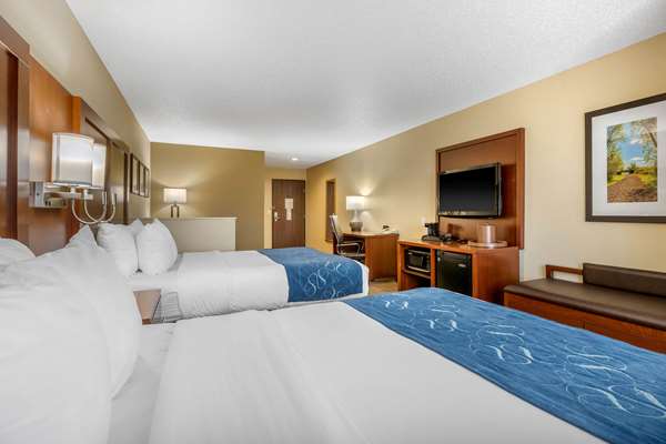 Suite - Comfort Suites Cedar Falls