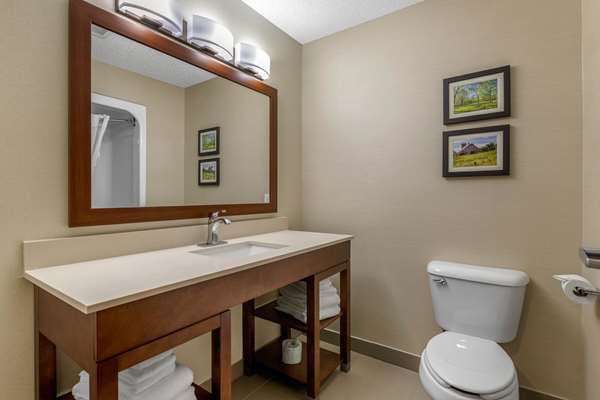 Suite - Comfort Suites Cedar Falls