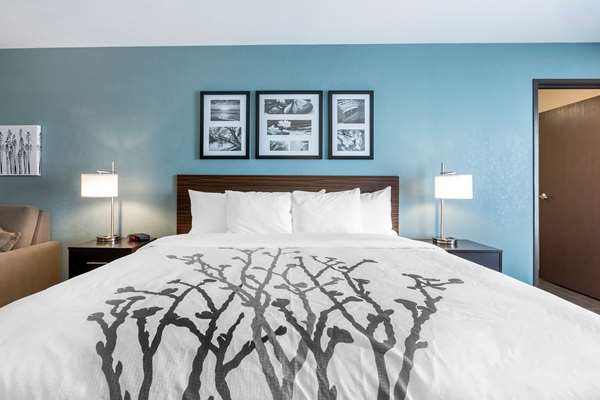 Suite - Sleep Inn & Suites West Des Moines - I-35, Exit 70