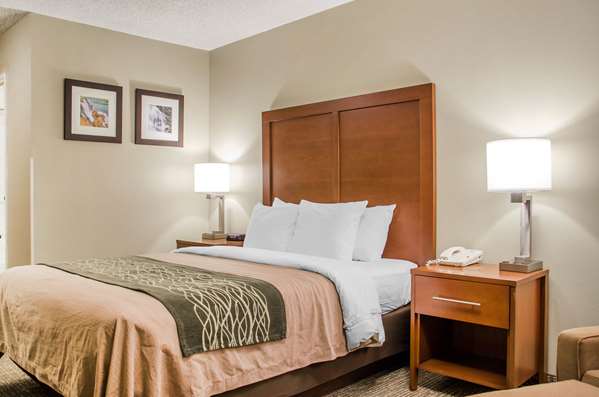  - Comfort Inn Idaho Falls - I-15, Exit 118