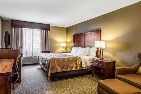 Suite - Quality Inn & Suites Salem - I-57, Exit 116