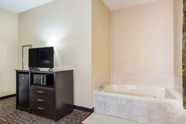 Suite - Quality Inn & Suites Caseyville - I-64, Exit 9