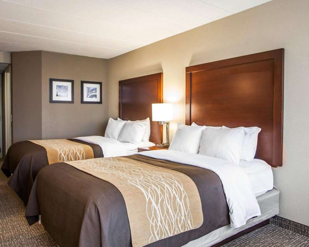 QUALITY INN AND SUITES ORLAND PARK-guestroom-Guest Room,On-Site.jpg