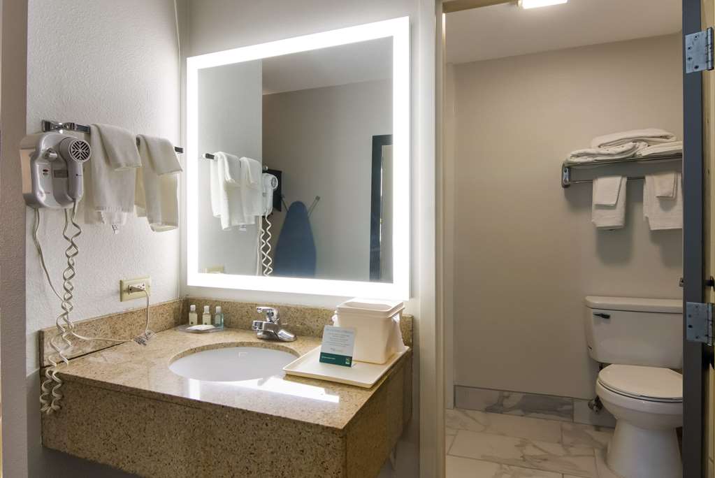 QUALITY INN AURORA - NAPERVILLE ARE-guestroom-Guest Room,Bathroom,On-Site.jpg