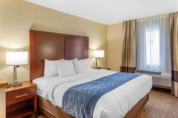Suite - Comfort Inn Rockford - I-39 & I-90, Exit 15