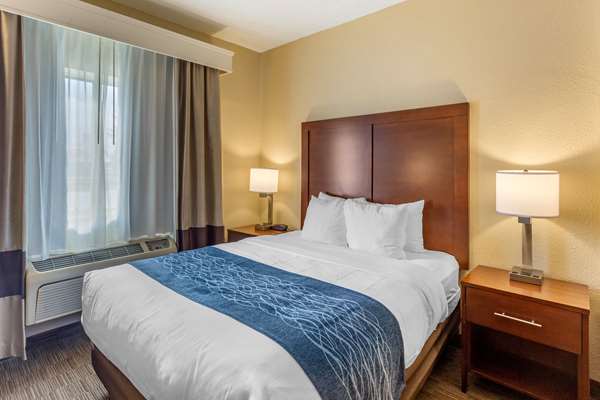 Suite - Comfort Inn Rockford - I-39 & I-90, Exit 15