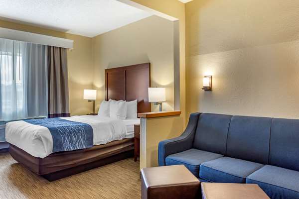 Suite - Comfort Inn Rockford - I-39 & I-90, Exit 15