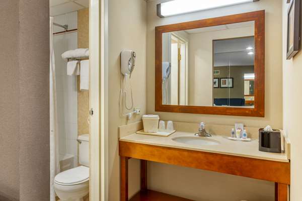 Suite - Comfort Suites Oakbrook Terrace