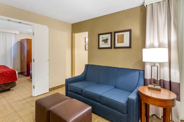 Suite - Comfort Suites Oakbrook Terrace