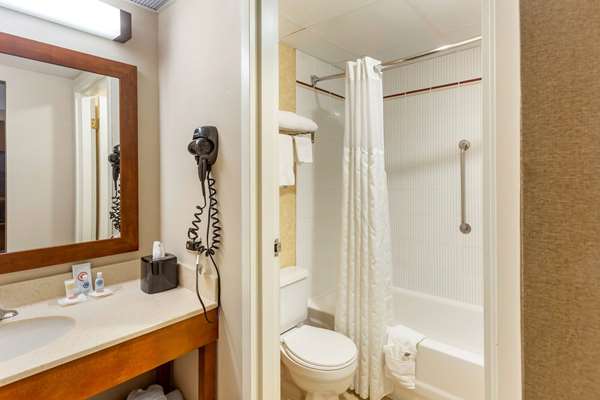 Suite - Comfort Suites Oakbrook Terrace