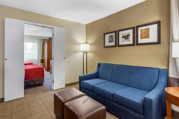 Suite - Comfort Suites Oakbrook Terrace