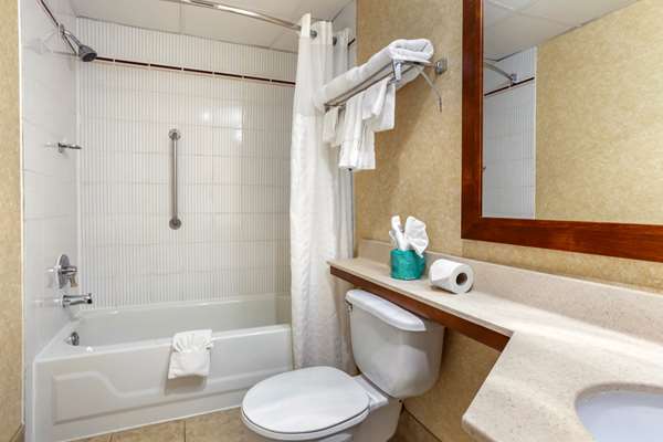 Suite - Comfort Suites Oakbrook Terrace