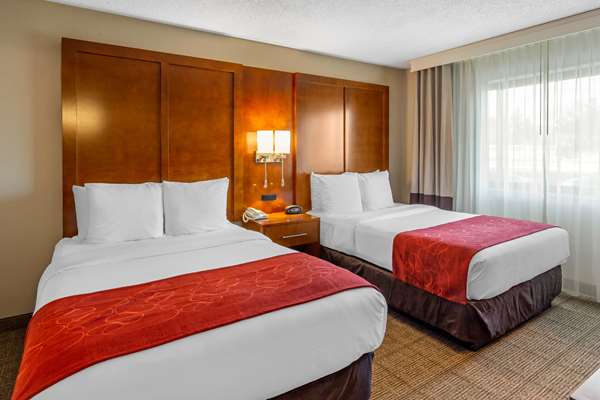 Suite - Comfort Suites Oakbrook Terrace
