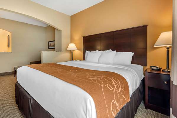 Suite - Comfort Suites Springfield - I-55 & I-72, Exit 94