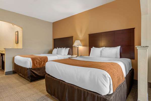 Suite - Comfort Suites Springfield - I-55 & I-72, Exit 94