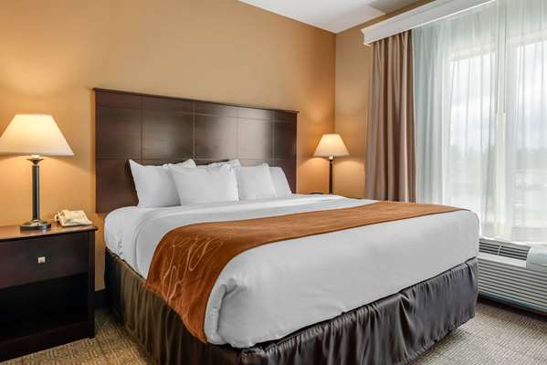 Suite - Comfort Suites Springfield - I-55 & I-72, Exit 94