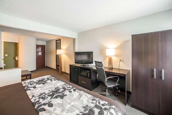 Suite - Sleep Inn Decatur - I-72, Exit 144