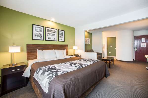 Suite - Sleep Inn Decatur - I-72, Exit 144