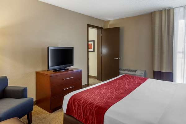 Suite - Comfort Inn & Suites Rochelle
