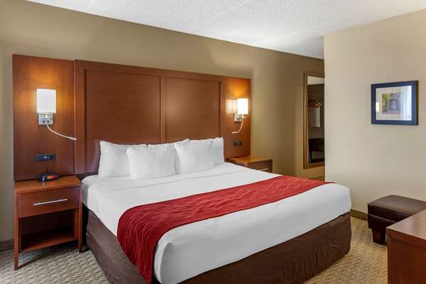 Suite - Comfort Inn & Suites Rochelle