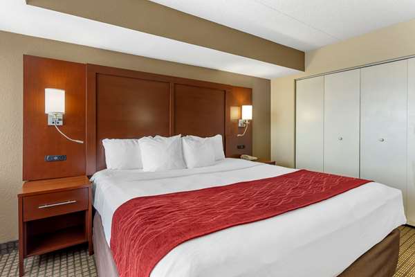 Suite - Comfort Inn & Suites Rochelle