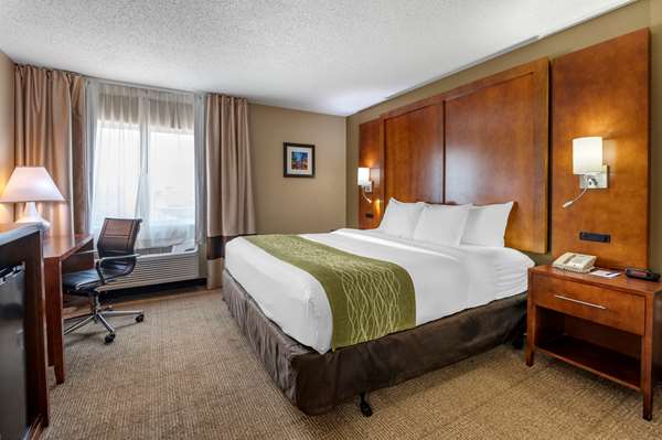Suite - Comfort Inn Romeoville - I-55, Exit 263