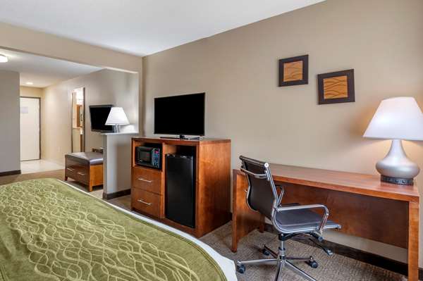 Suite - Comfort Inn Romeoville - I-55, Exit 263