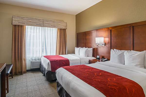 Suite - Comfort Suites Grayslake