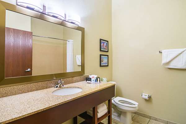 Suite - Comfort Suites Grayslake