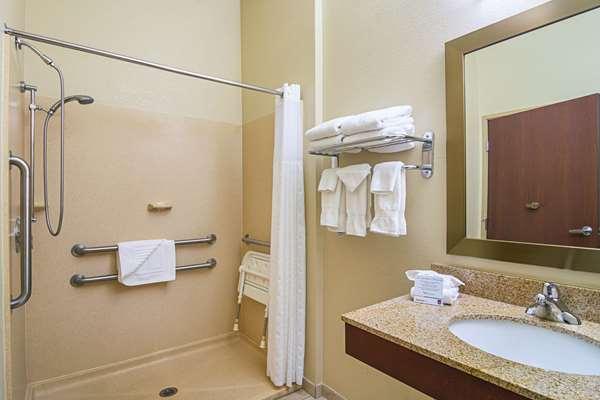 Suite - Comfort Suites Grayslake